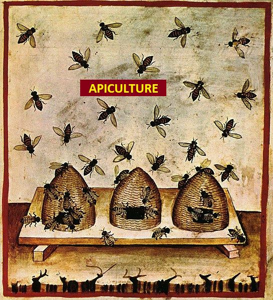 Apiculture GPCOE_02