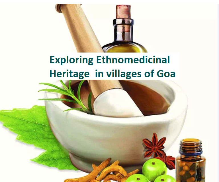 Exploring Ethnomedicinal heritage in villages of Goa GPCOE_03